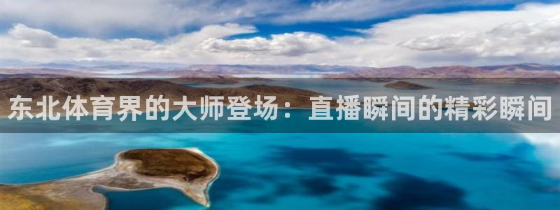 咪咕足球直播免费观看：东北体育界的大师登场：直播瞬间的精彩瞬间