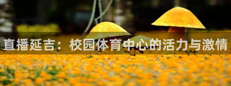 咪咕视频体育直播免费