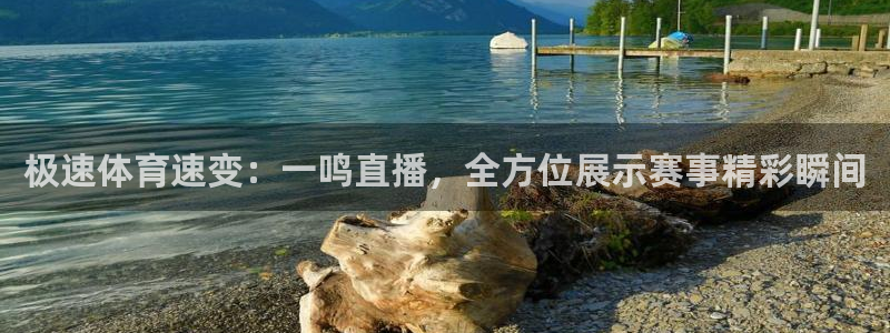 咪咕视频体育直播免费：极速体育速变：一鸣直播，全方位展示赛事精彩瞬间